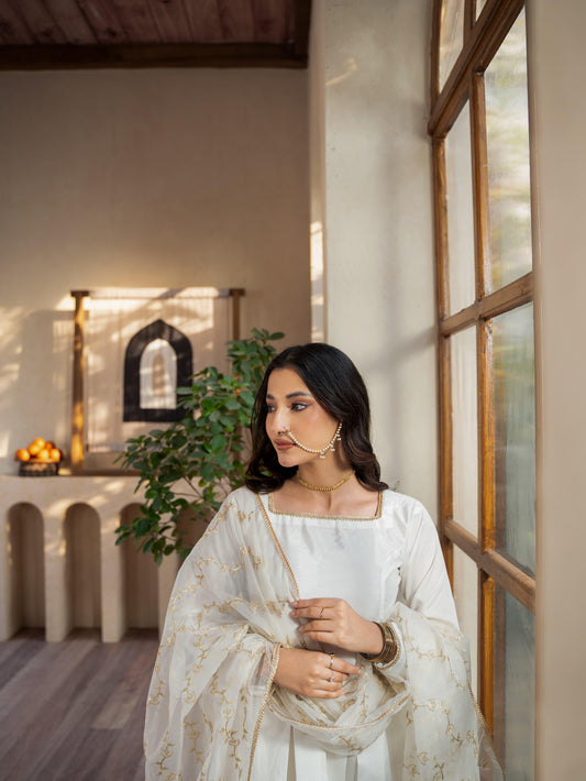 AFROZEH-Raw Silk Frock